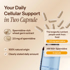 AIM Spermidine