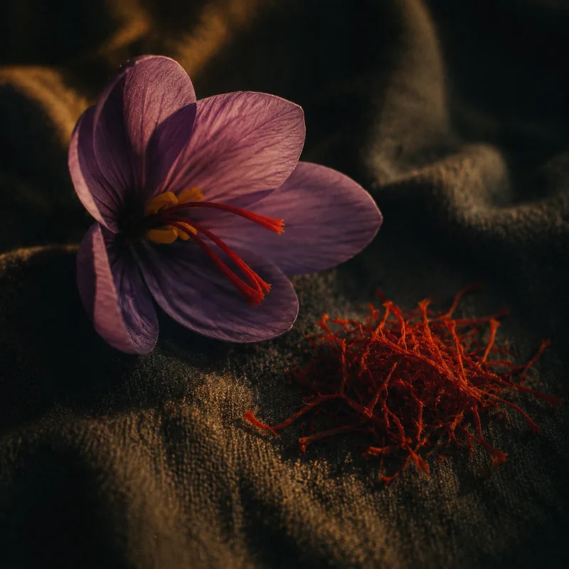 Saffron Extract