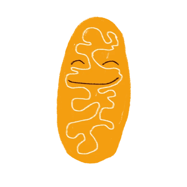 Supported Cell Energy